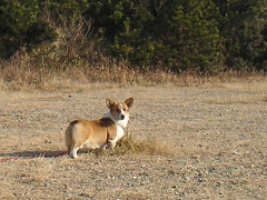 Resize of P3_thumb.jpg